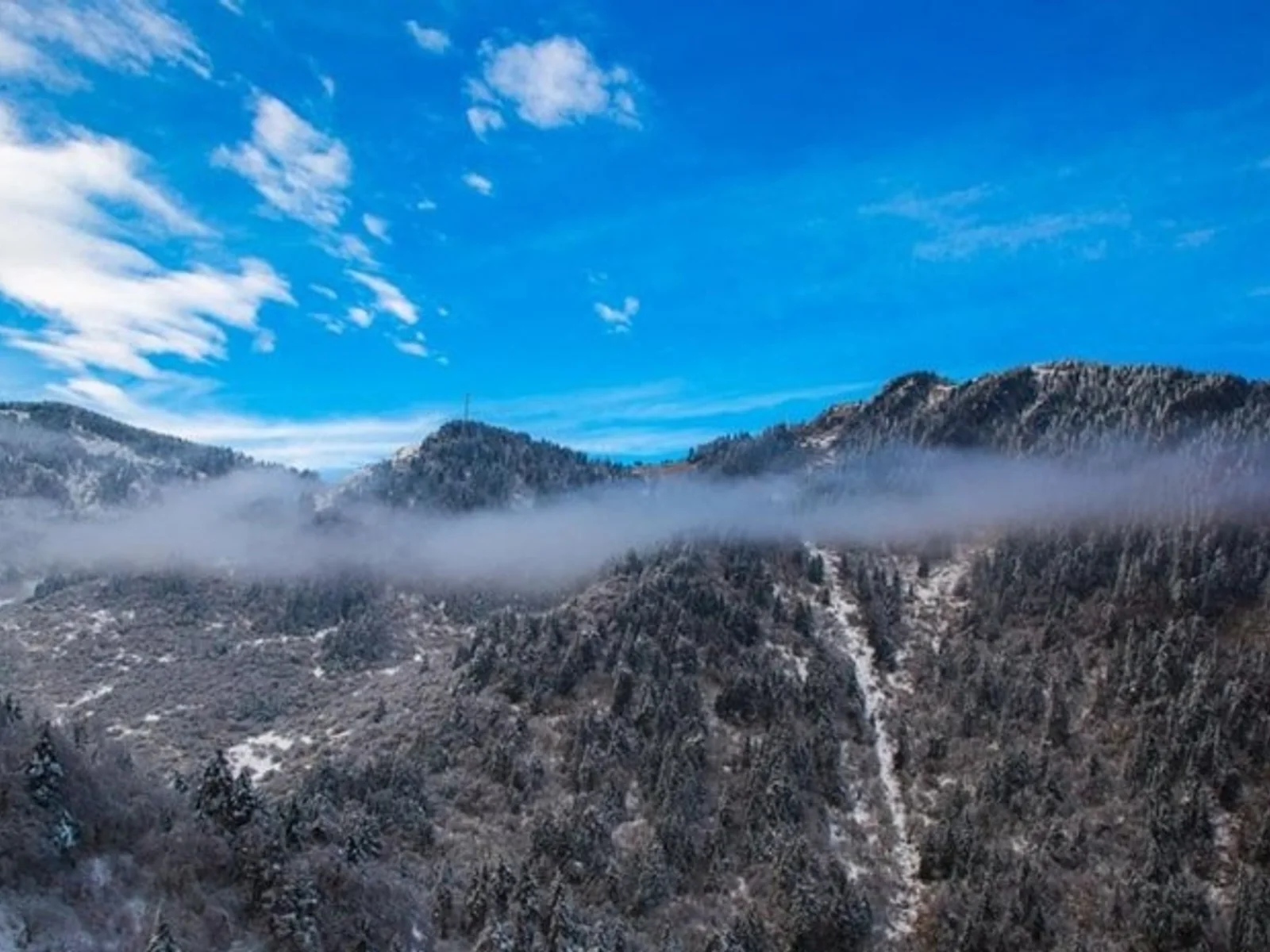 雪后的神农架林海