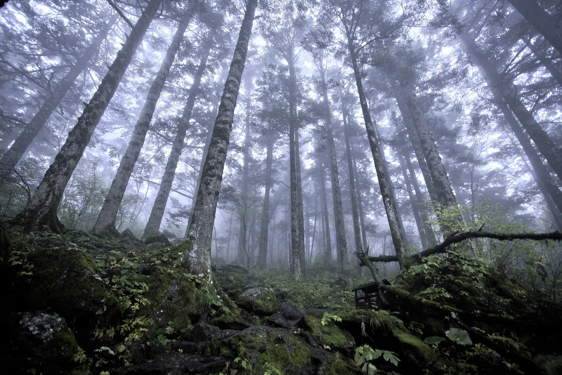 神农架高山与云气